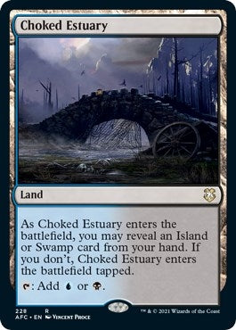 Choked Estuary (228) (AFC)