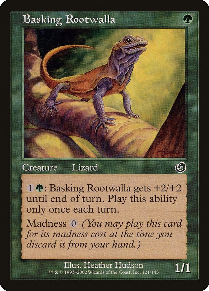 Basking Rootwalla (121) (TOR)