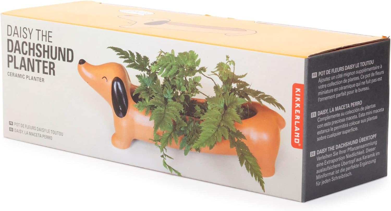 Kikkerland Daisy The Dachshund Dog Planter, Porcelain Dog Pot Planter, Orange/Brown