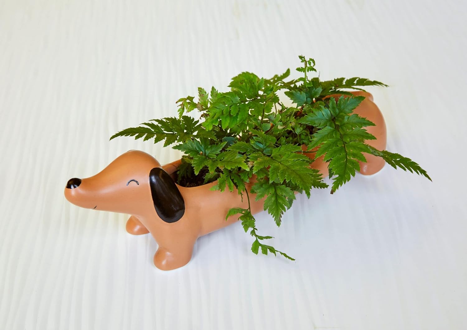 Kikkerland Daisy The Dachshund Dog Planter, Porcelain Dog Pot Planter, Orange/Brown