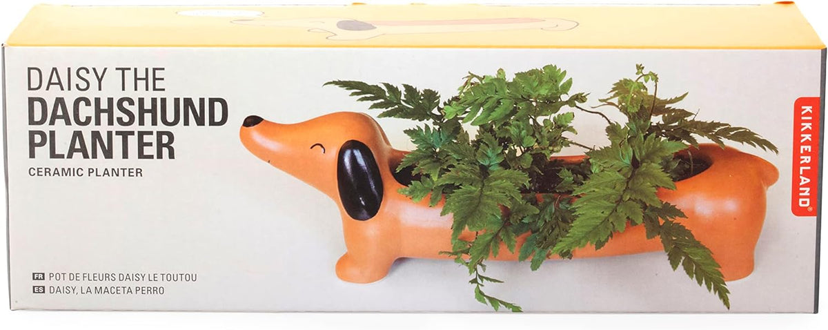 Kikkerland Daisy The Dachshund Dog Planter, Porcelain Dog Pot Planter, Orange/Brown