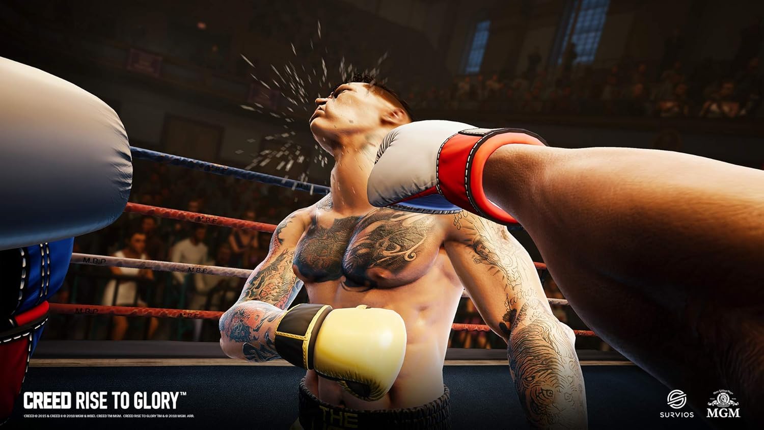 Creed: Rise to Glory - PlayStation VR for Sony Playstation 4