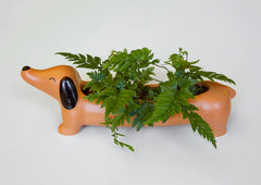 Kikkerland Daisy The Dachshund Dog Planter, Porcelain Dog Pot Planter, Orange/Brown