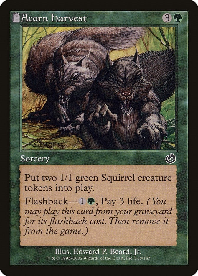 Acorn Harvest (118) (TOR)
